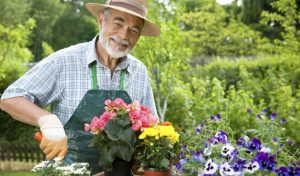Mudanças afetam paladar, equilíbrio e até olfato de quem tem mais de 60 anos